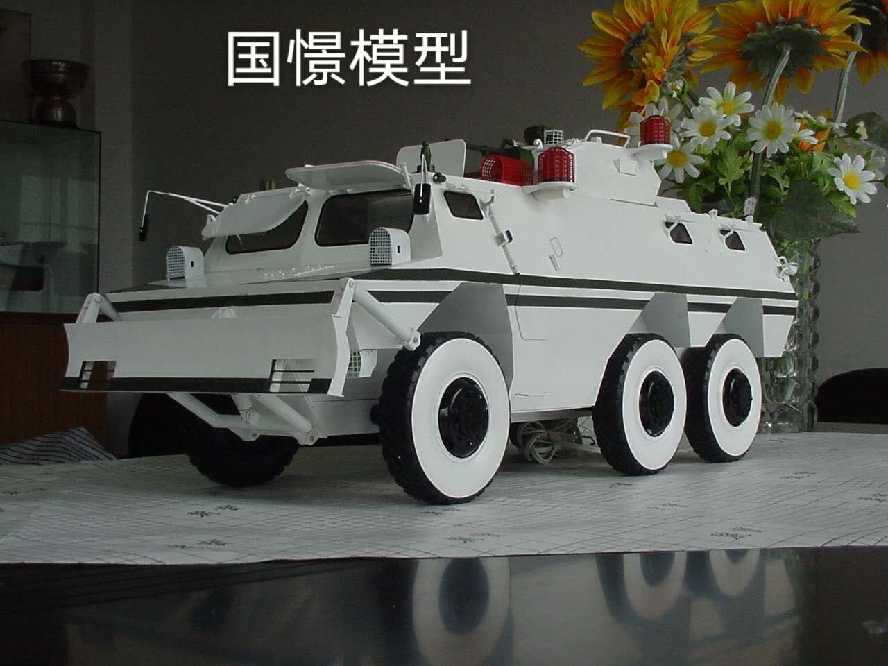 榕江县军事模型