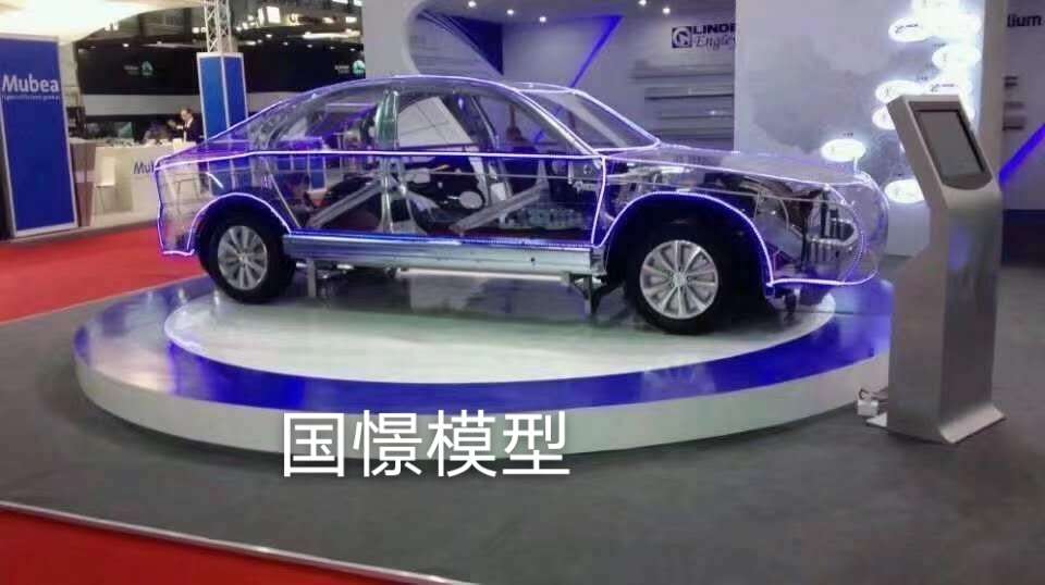 榕江县透明车模型